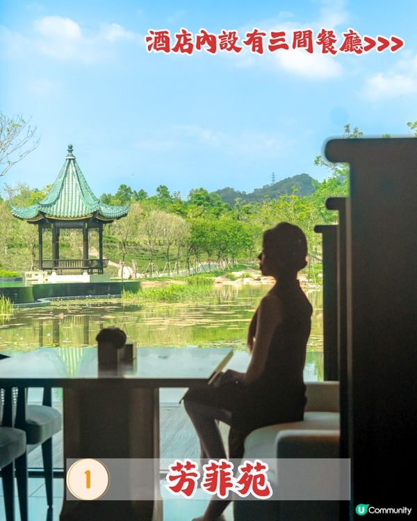 全球首間美高梅華府酒店開幕 🏨逾80萬呎如世外桃源‼️ 庭院式別墅套房/私人泳池/3間必食餐廳