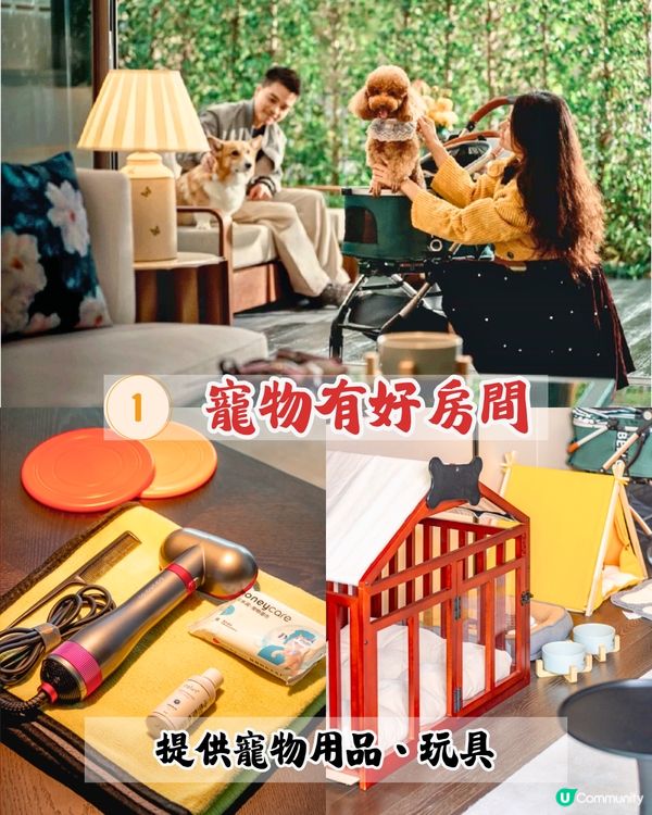 全球首間美高梅華府酒店開幕 🏨逾80萬呎如世外桃源‼️ 庭院式別墅套房/私人泳池/3間必食餐廳