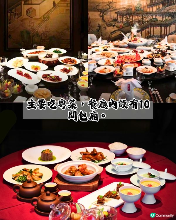 全球首間美高梅華府酒店開幕 🏨逾80萬呎如世外桃源‼️ 庭院式別墅套房/私人泳池/3間必食餐廳