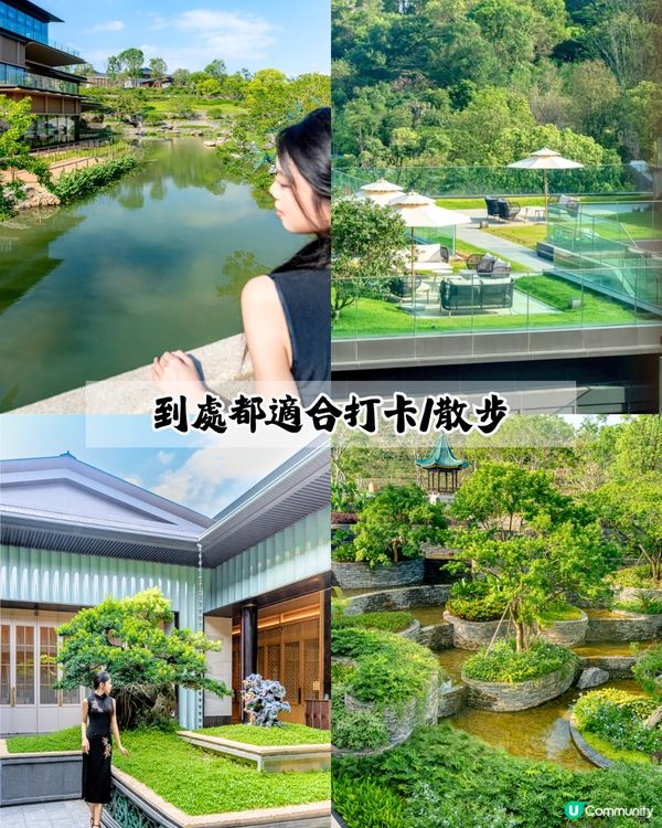 全球首間美高梅華府酒店開幕 🏨逾80萬呎如世外桃源‼️ 庭院式別墅套房/私人泳池/3間必食餐廳