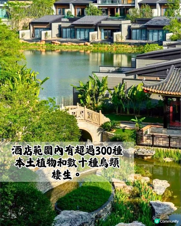 全球首間美高梅華府酒店開幕 🏨逾80萬呎如世外桃源‼️ 庭院式別墅套房/私人泳池/3間必食餐廳