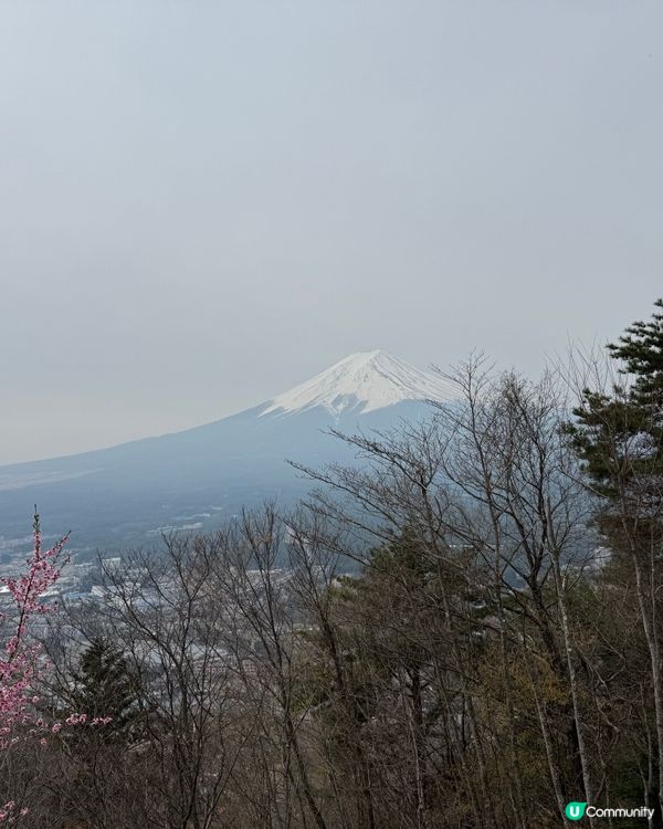 ［富士山景點］天上山公園食可愛兔仔軟雪糕🐰🐰🐰