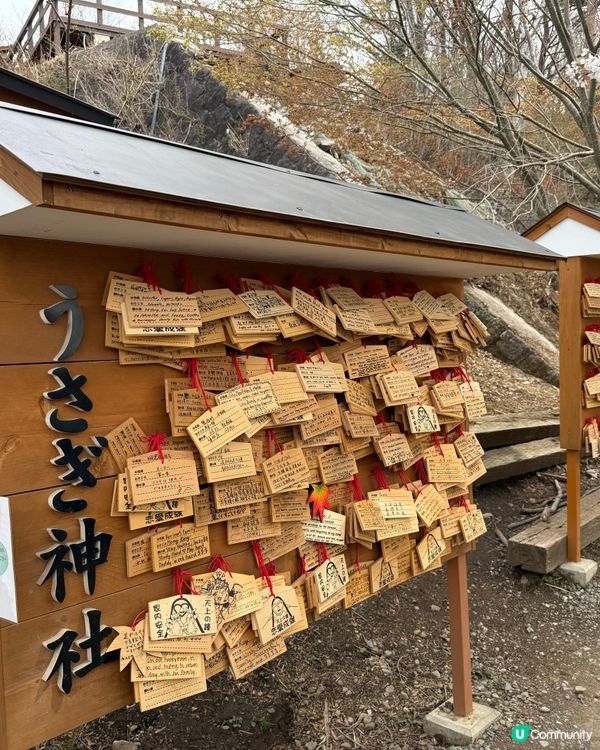 ［富士山景點］天上山公園食可愛兔仔軟雪糕🐰🐰🐰