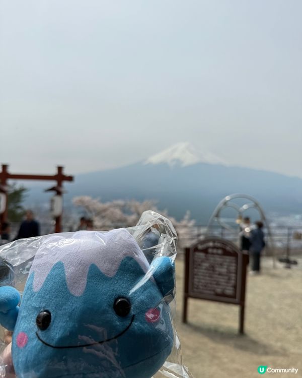 ［富士山景點］天上山公園食可愛兔仔軟雪糕🐰🐰🐰