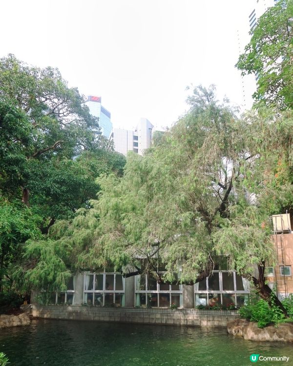 香港公園「仲夏浮夢Summer Dream」下午茶🦋