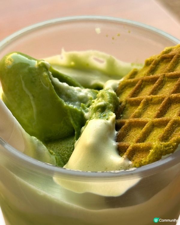 🇰🇷抹茶控癲咗🤣推薦一定要去嘅韓國濟州島抹茶博物館‼️