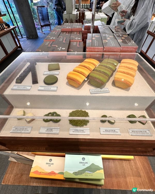 🇰🇷抹茶控癲咗🤣推薦一定要去嘅韓國濟州島抹茶博物館‼️