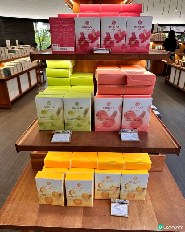 🇰🇷抹茶控癲咗🤣推薦一定要去嘅韓國濟州島抹茶博物館‼️