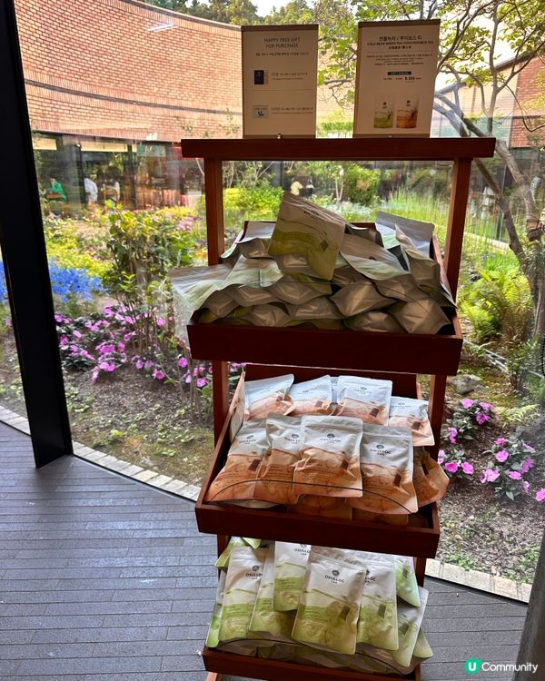 🇰🇷抹茶控癲咗🤣推薦一定要去嘅韓國濟州島抹茶博物館‼️