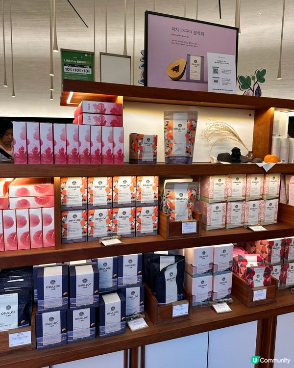 🇰🇷抹茶控癲咗🤣推薦一定要去嘅韓國濟州島抹茶博物館‼️