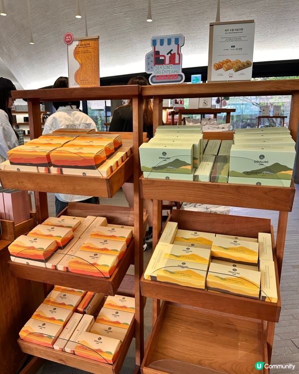 🇰🇷抹茶控癲咗🤣推薦一定要去嘅韓國濟州島抹茶博物館‼️