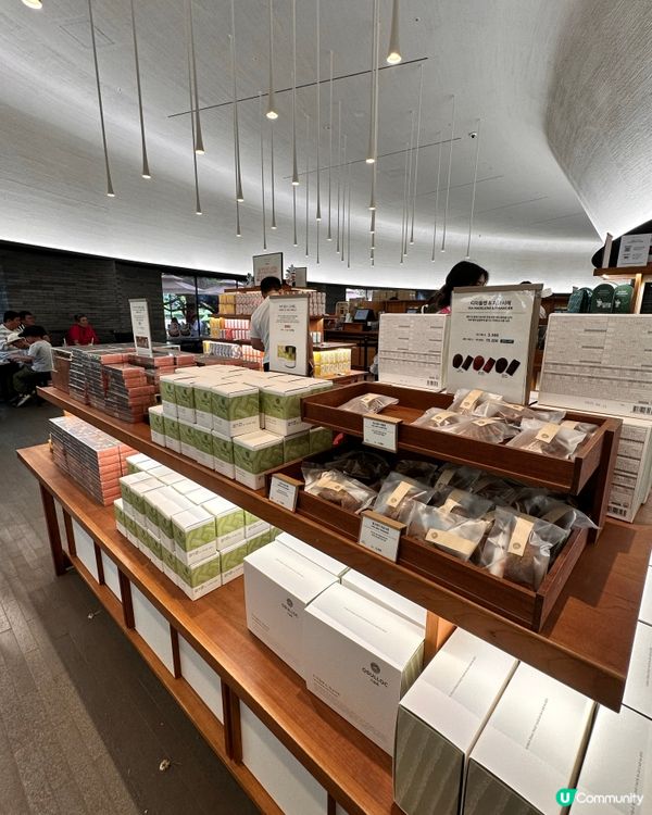 🇰🇷抹茶控癲咗🤣推薦一定要去嘅韓國濟州島抹茶博物館‼️