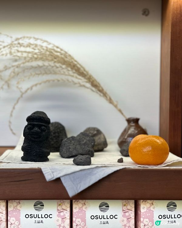 🇰🇷抹茶控癲咗🤣推薦一定要去嘅韓國濟州島抹茶博物館‼️