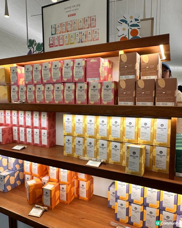 🇰🇷抹茶控癲咗🤣推薦一定要去嘅韓國濟州島抹茶博物館‼️