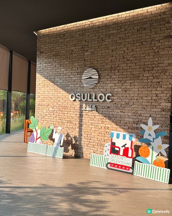 🇰🇷抹茶控癲咗🤣推薦一定要去嘅韓國濟州島抹茶博物館‼️