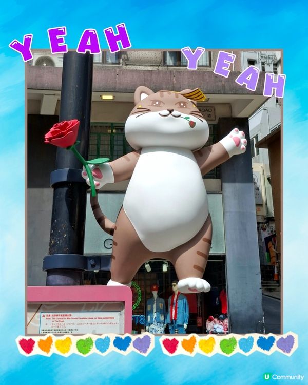 打卡位再添打卡位😺😸貓貓新地標登場