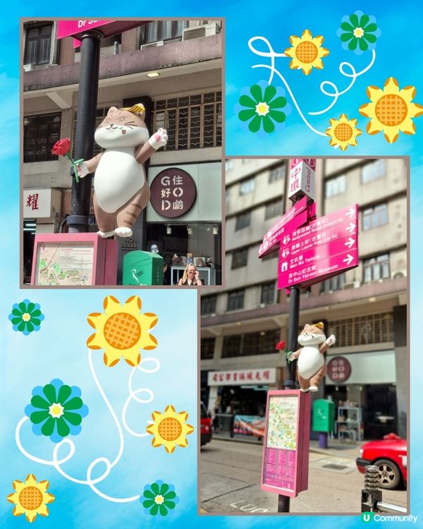 打卡位再添打卡位😺😸貓貓新地標登場