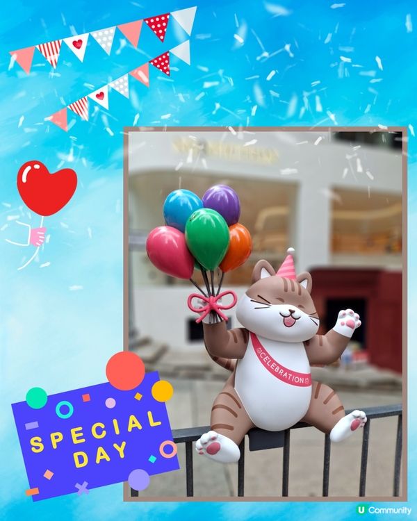 打卡位再添打卡位😺😸貓貓新地標登場