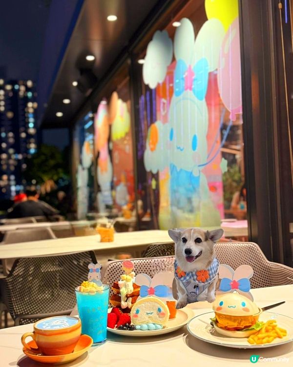 追趕玉桂狗夢幻餐廳尾巴🤩