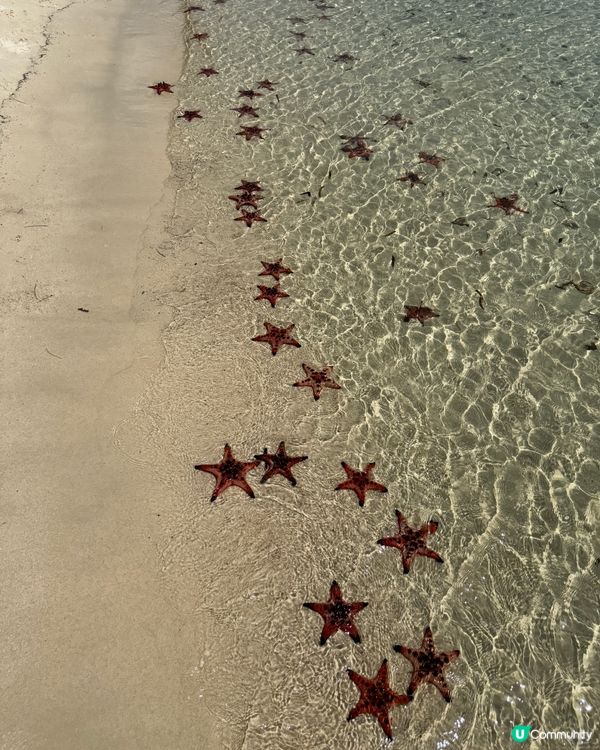 越南富國島海星沙灘🏖️🇻🇳