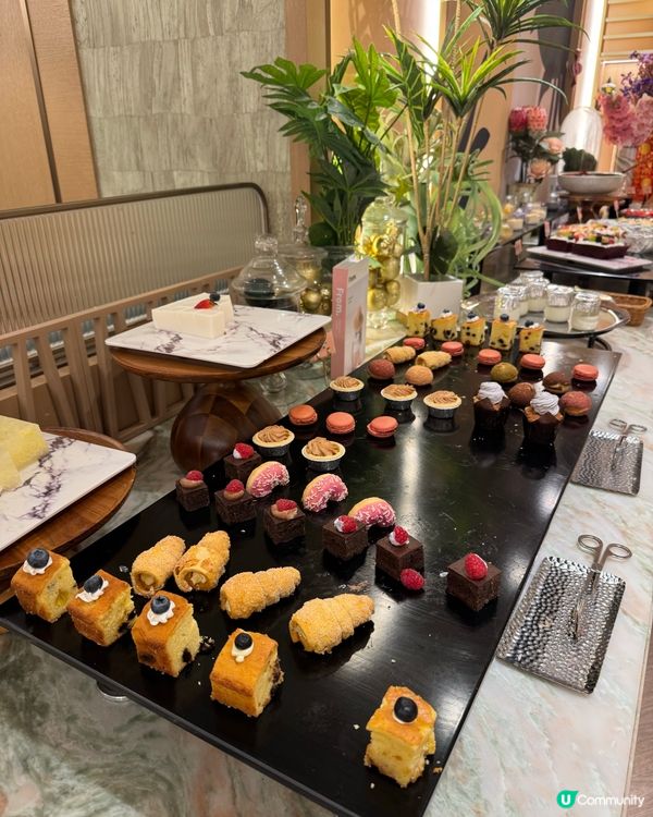 沙田都有好食 buffet！🦞大隻 🦀蟹腳超甜