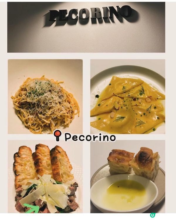 上環韓式西餐pecorino試食😋  