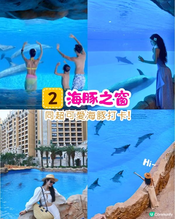 珠海長隆水世界親子遊攻略🫧同海豚打卡/水槍巡遊/刺激漂流⛵附票價資訊