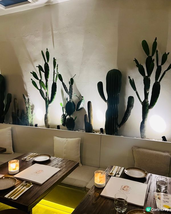 尖沙咀泰國菜🌴 打卡必食芒果糯米飯甜筒🍦