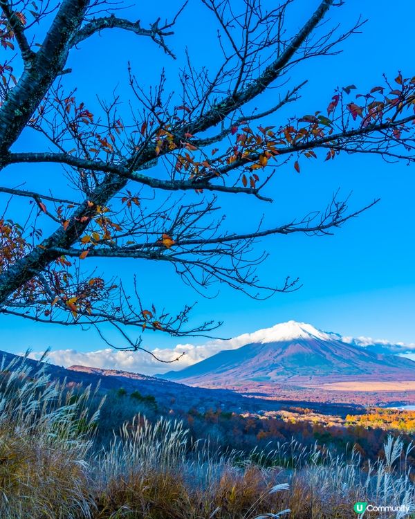 影咗咁多相，張張都係主題公園級！#打造韓系浪漫廚房