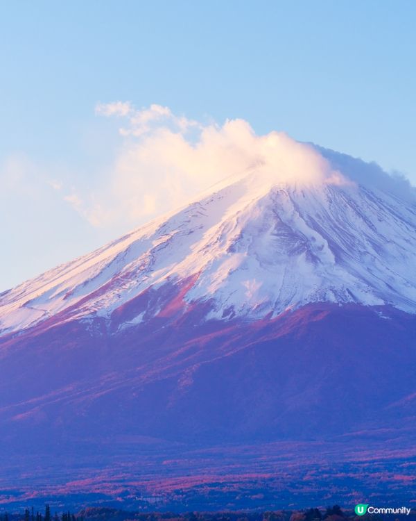 影相影到手機話唔夠位 📸#打造韓系浪漫廚房