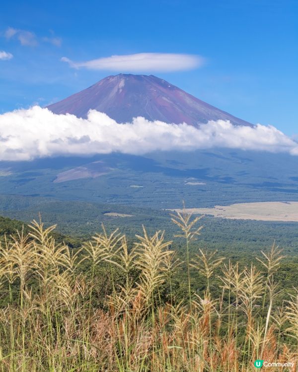 #打造韓系浪漫廚房 #淨白透亮520 #韓式髮型神器