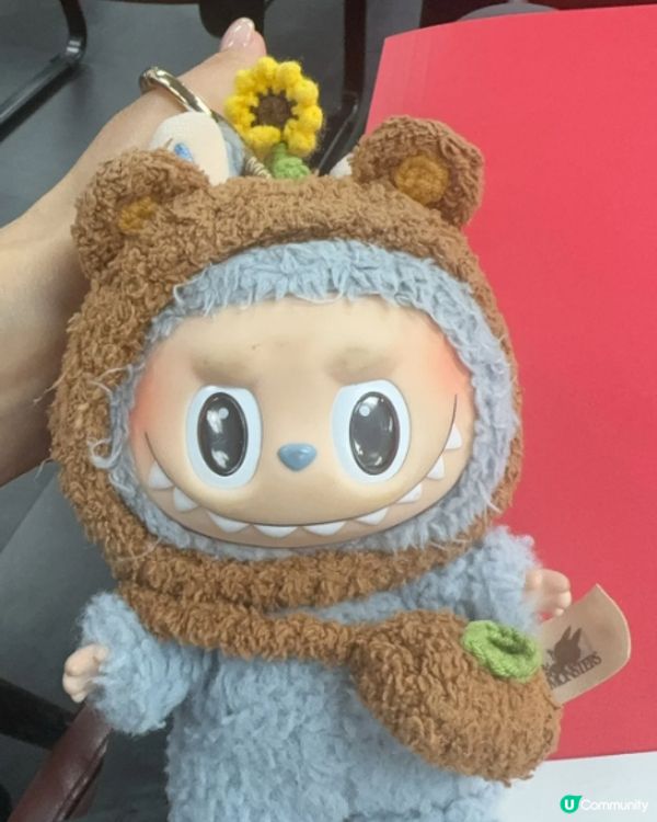 短短耳仔帶點淘氣感 🤭