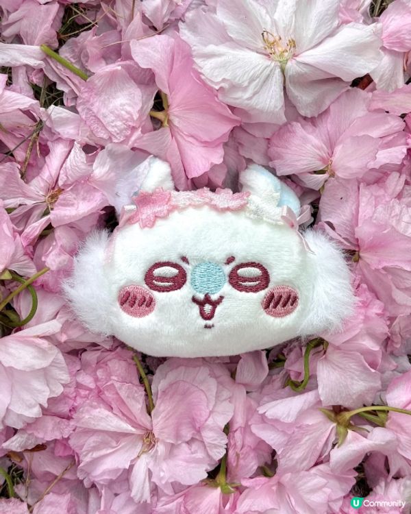 chiikawa笑容治癒晒！😊