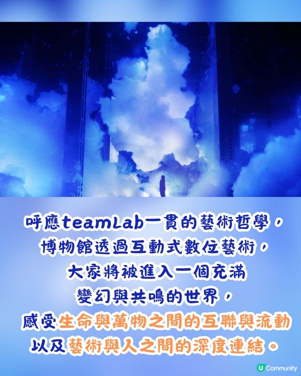 🌟京都藝術新地標✨teamLab Biovortex Kyoto 2025秋季登場！探索生命與互聯的奇幻藝術世界🌀