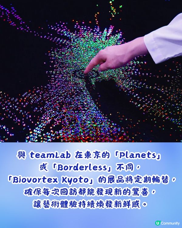 🌟京都藝術新地標✨teamLab Biovortex Kyoto 2025秋季登場！探索生命與互聯的奇幻藝術世界🌀