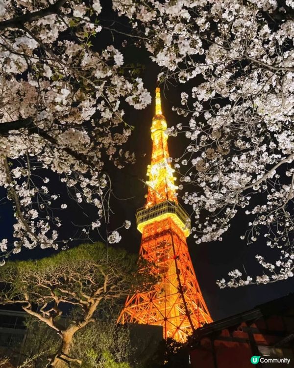 #淨白透亮520 #韓式髮型神器