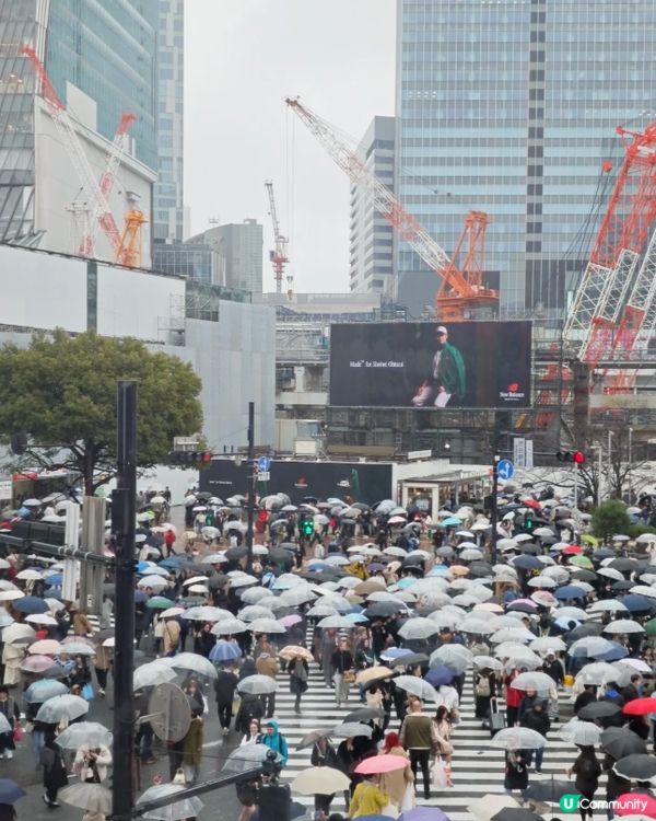 #淨白透亮520 #韓式髮型神器