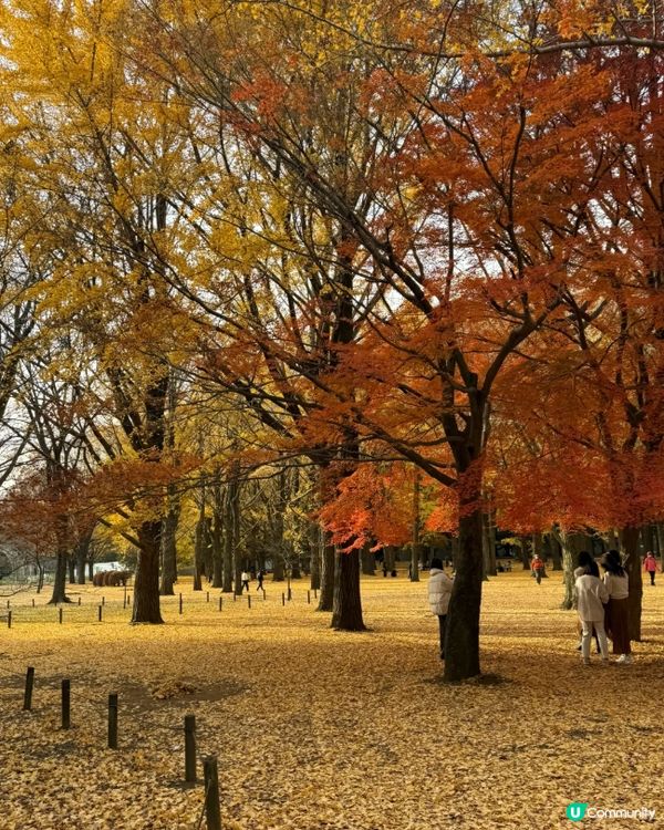 #淨白透亮520 #韓式髮型神器