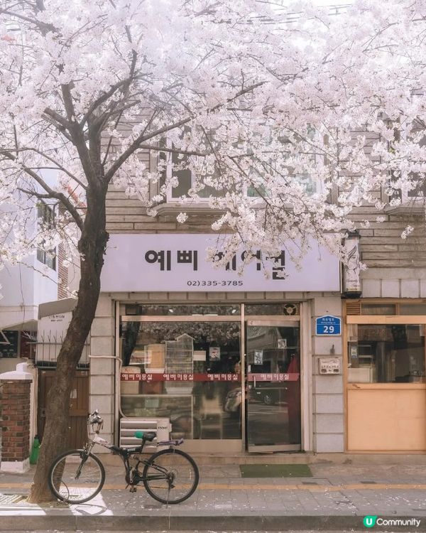 #打造韓系浪漫廚房