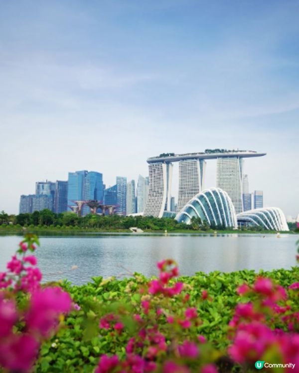 #淨白透亮520 #韓式髮型神器