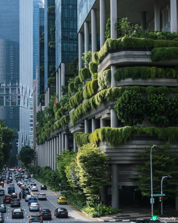 #淨白透亮520 #韓式髮型神器