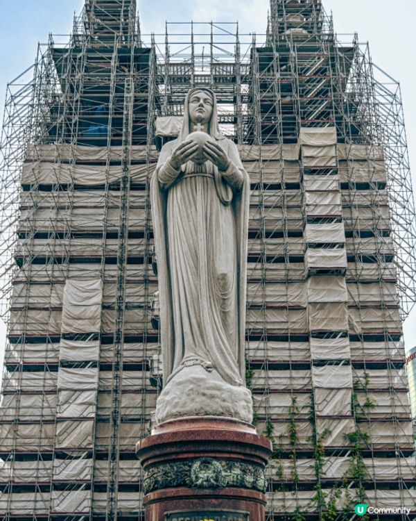 #打造韓系浪漫廚房 #淨白透亮520 #韓式髮型神器