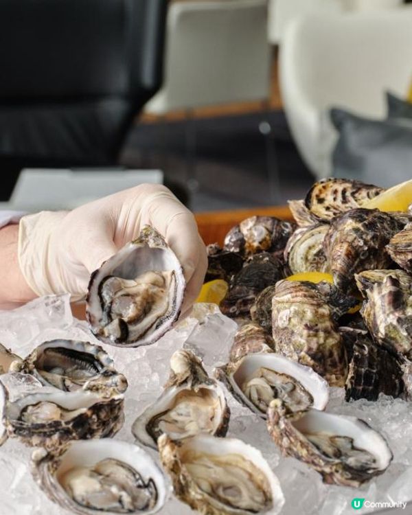 【尖東】食到餐廳「破產」!?  加$48任食南澳哥芬灣生蠔🦪!?Hotel ICON 南澳美食薈 