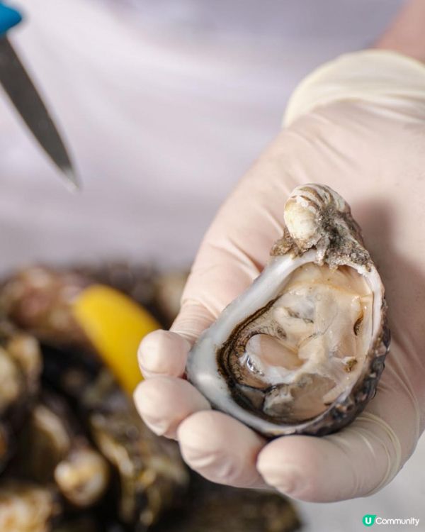 【尖東】食到餐廳「破產」!?  加$48任食南澳哥芬灣生蠔🦪!?Hotel ICON 南澳美食薈 