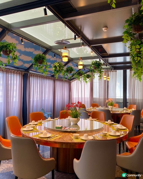 ✨深圳🇨🇳-⚠️💬好意頭撈雞⁉️💢花椒蝦竟..⁉️📍順意順德家鄉菜