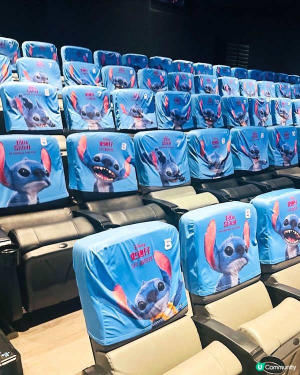 🌠《 史迪仔 》內有惡犬,涕定一生請抱緊