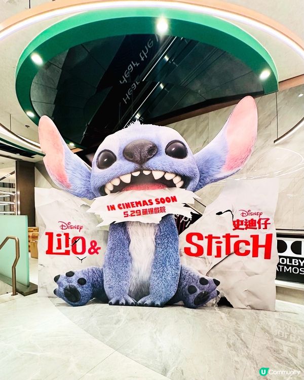 🌠《 史迪仔 》內有惡犬,涕定一生請抱緊