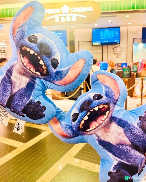 🌠《 史迪仔 》內有惡犬,涕定一生請抱緊