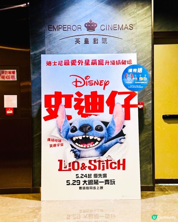 🌠《 史迪仔 》內有惡犬,涕定一生請抱緊