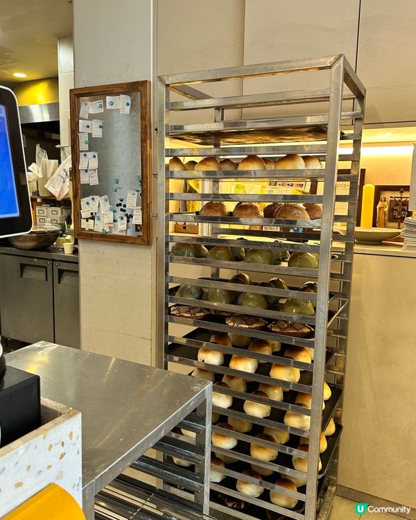 🇰🇷韓國濟州島大癲！艾草紅豆栗子包🌰🫘🌿